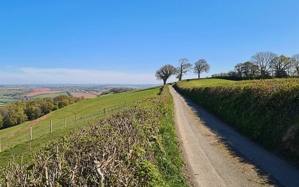 The perfect country lane - in the distance is Crediton